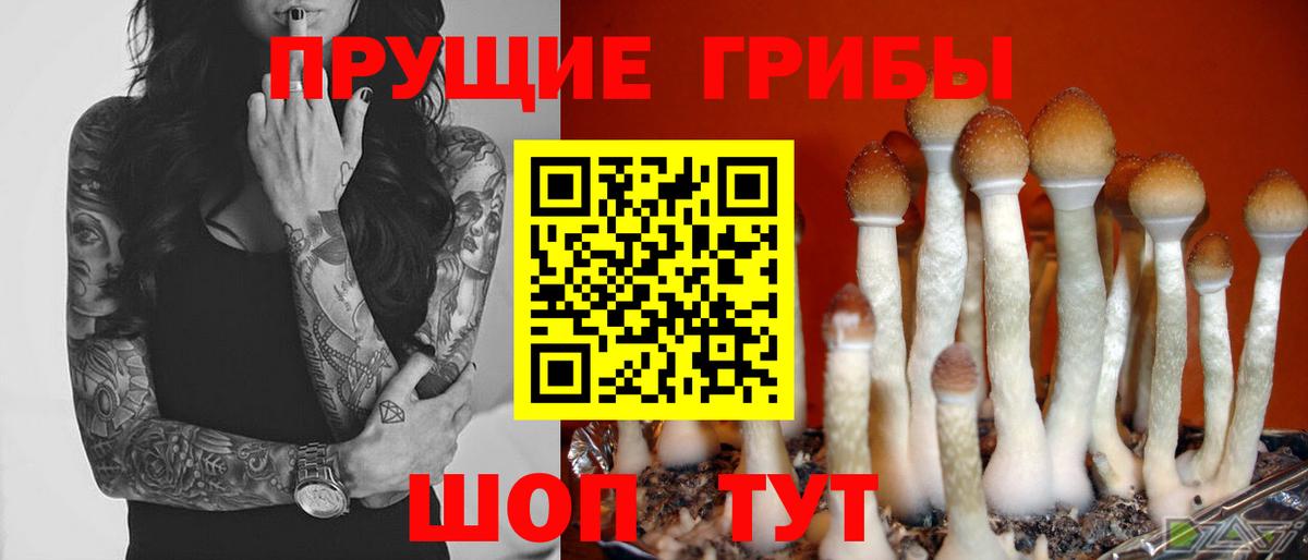 магазин продажи наркотиков  Вход с VPN  Урай  Галлюциногенные грибы прущие грибы 